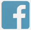 Lowercase Facebook logo in blue square